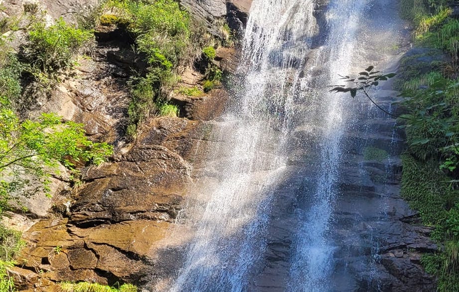 Cascade étincelante illuminée par le soleil dans une forêt luxuriante avec des rochers couverts de mousse, créant une atmosphère sereine et inspirante.