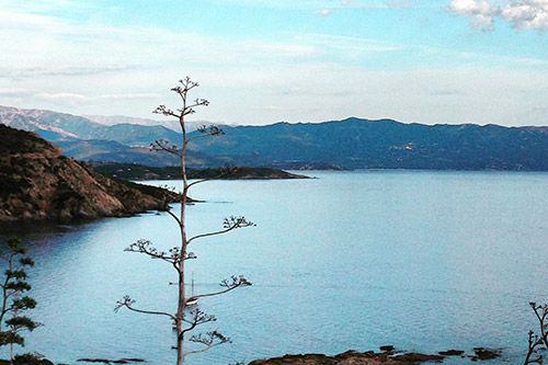 Paysage côtier avec mer tranquille et montagnes majestueuses créant une harmonie sereine.