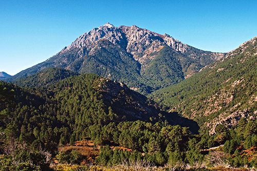 Vue panoramique sur une montagne imposante entourée de forêts luxuriantes sous un ciel ensoleillé