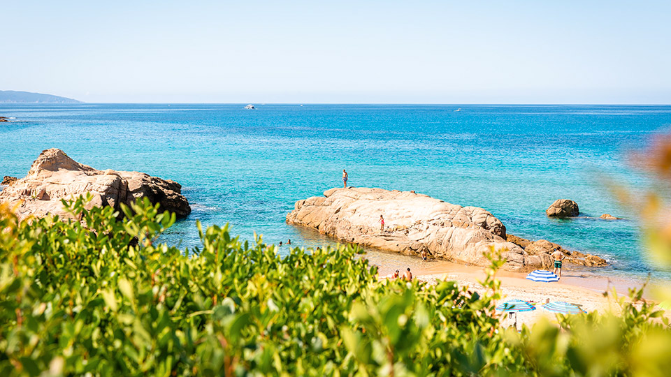 Image d'une plage estivale avec sable doré, eaux cristallines et détente sous le soleil.