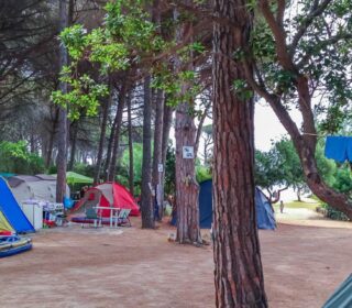 Camping California