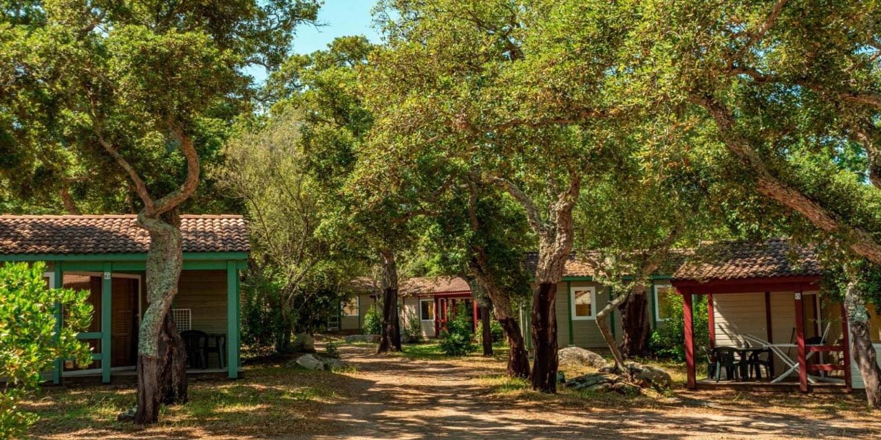 Chalets en bois nichés au cœur d'une nature verdoyante, offrant un refuge paisible et ombragé idéal pour la détente et l'évasion.