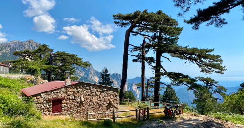 L'image présente une maison en pierre pittoresque entourée d'une végétation luxuriante, capturant l'essence d'un cadre naturel apaisant et inspirant, parfait pour les amoureux de la nature et des paysages montagnards.
