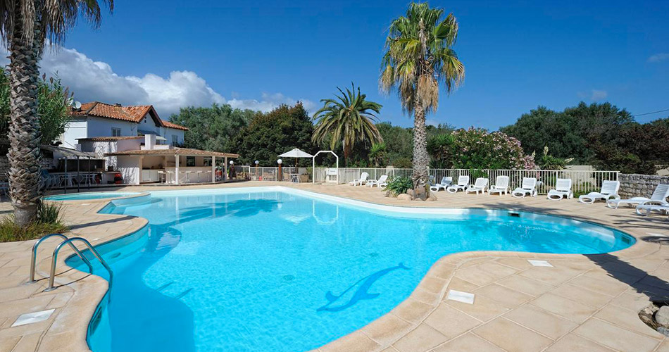 Piscine étincelante entourée de palmiers sous un ciel bleu pour un moment de détente estivale parfait.