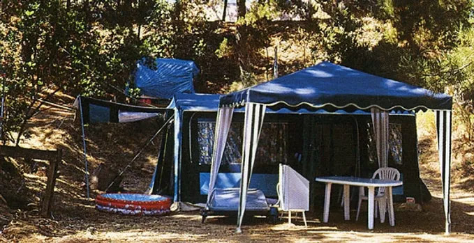 Photo d'une tente de camping installée en forêt, symbolisant la sérénité et la proximité avec la nature, propice aux moments conviviaux.