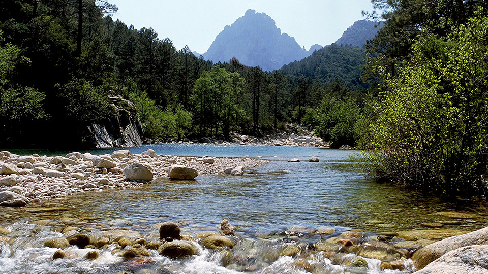 Cette image représente une rivière cristalline courant paisiblement entre des rochers, entourée de montagnes verdoyantes, créant un cadre idéal pour la détente et l'évasion en pleine nature.