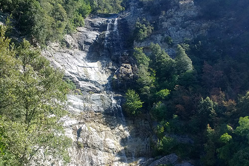 Vue enchanteresse d'une cascade entourée par une forêt luxuriante, baignée de lumière naturelle créant une atmosphère de détente et de paix.