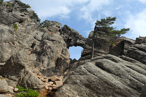 Arc naturel en pierre sur une montagne, entouré d'arbres résilients, symbolisant la puissance de l'érosion et la beauté intemporelle de la nature.