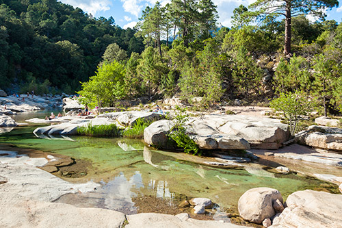 Image de rivière cristalline serpentant dans un paysage rocheux, entourée d'arbres verdoyants, créant une atmosphère sereine.