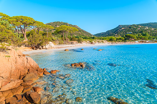 L'image montre une plage idyllique où des rochers aux teintes chaudes contrastent avec la mer turquoise et scintillante sous un ciel ensoleillé. Les collines verdoyantes autour et l'ombre des pins complètent cette scène sereine, invitant à la détente.
