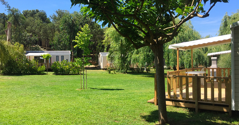 camping-milella-couv Camping Milella à propriano près de la mer