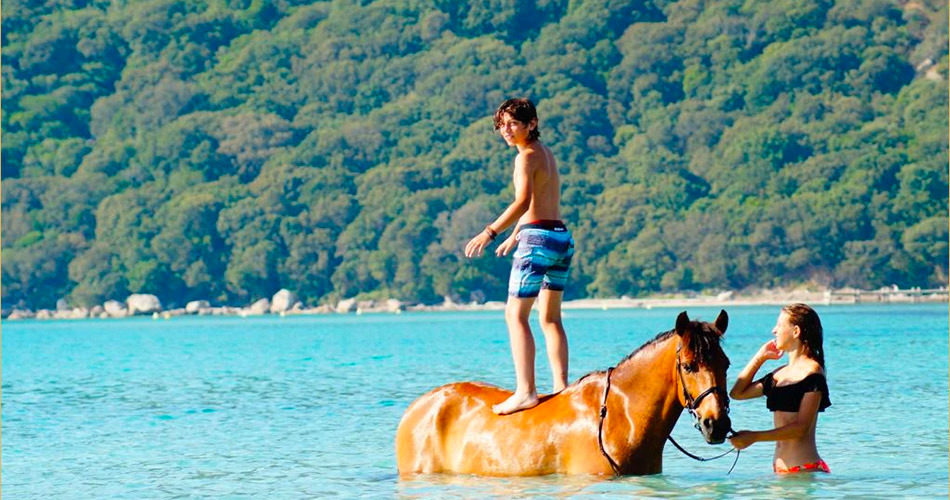 Horseback riding on the beach Horseback riding and swimming on the beach in Southern Corsica