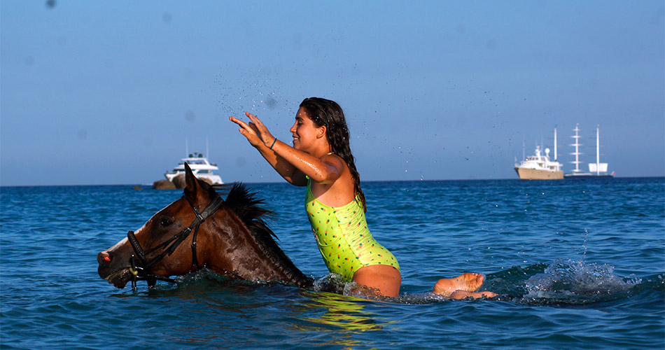 Horseback riding in Porto-Vecchio Horseback riding and swimming on the beach in Southern Corsica