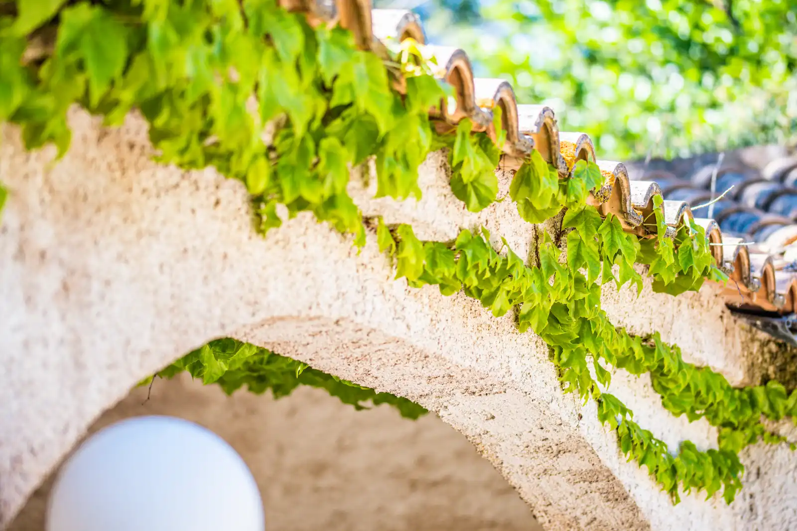 Détail de toiture en tuiles romanes et arche de pierre avec lierre grimpant au Camping Santa Lucia.