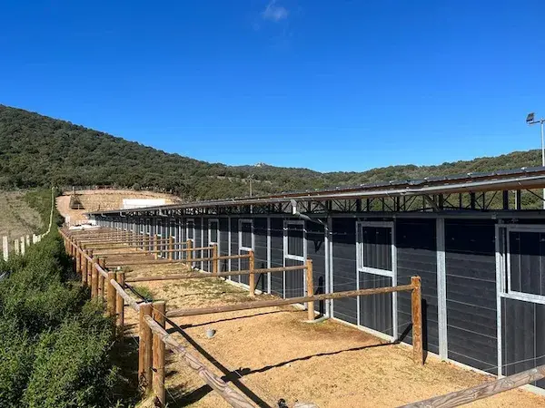 Rangée de boxes extérieurs modernes en bois noir avec paddocks individuels clôturés en bois, au centre équestre Equicomplice à Staffa, en Corse, sous un ciel bleu.