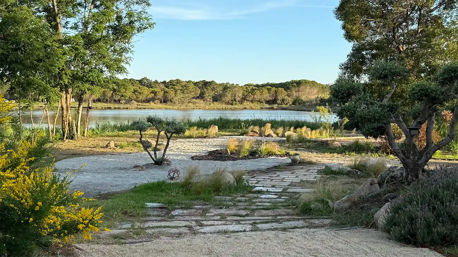 Aménagement paysager avec oliviers et vue sur l'étang au Camping U Pinarellu.