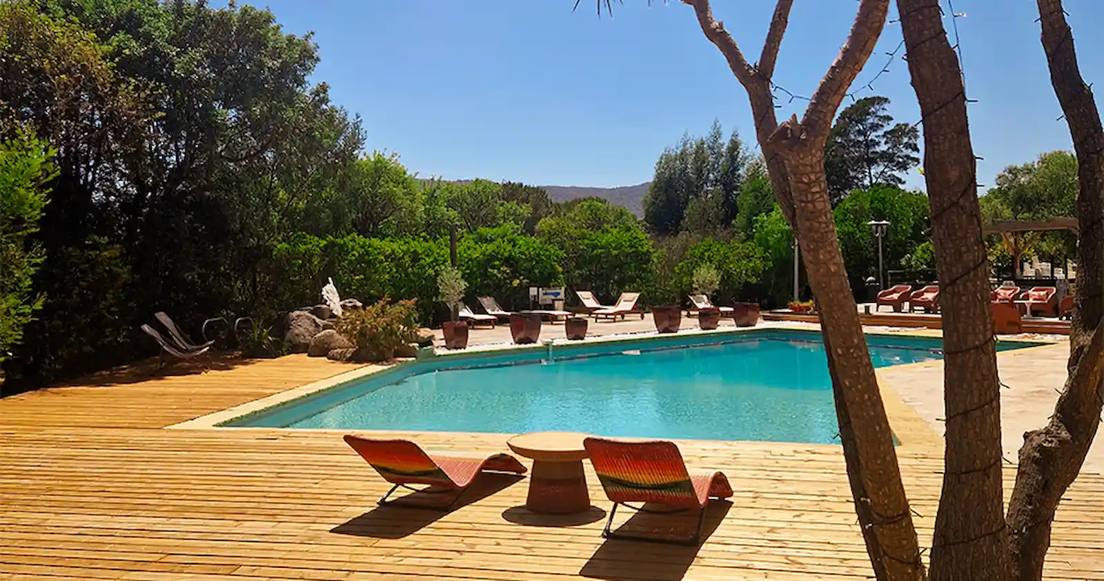 Piscine du camping U Pinarellu avec parasols rouges et blancs et transats confortables.