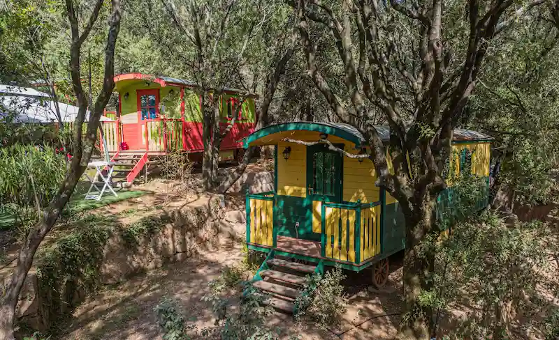 Roulottes de camping colorées (jaune, rouge, vert) nichées dans une forêt de chênes et d'oliviers.
