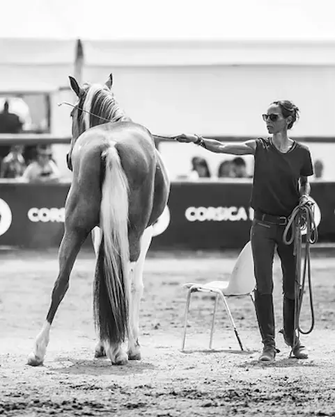 Éducatrice équestre professionnelle travaillant un cheval à pied avec une longe, lors d'une session de formation Equicomplice en Corse du Sud.