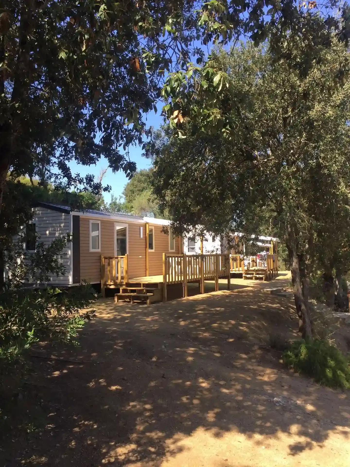 Rangée de mobile-homes récents avec terrasses en bois ombragées par de grands arbres au Camping Milella à Propriano, sous un ciel bleu.