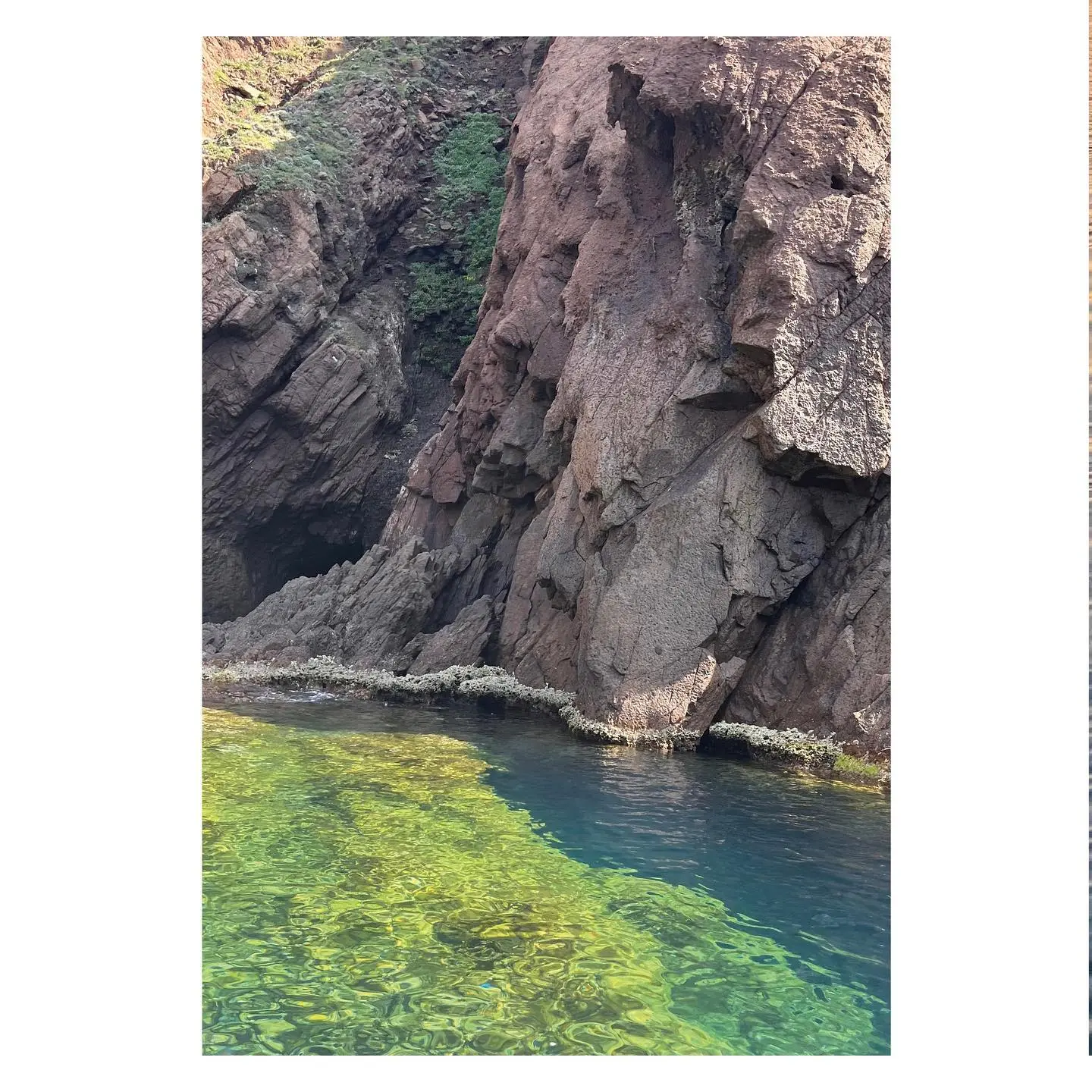 Gros plan sur une falaise rocheuse de couleur ocre et rouge avec un peu de végétation méditerranéenne, plongeant dans une eau de mer d'une transparence exceptionnelle, révélant des fonds marins verdoyants et bleus clairs, dans les Calanques de Piana en Corse.