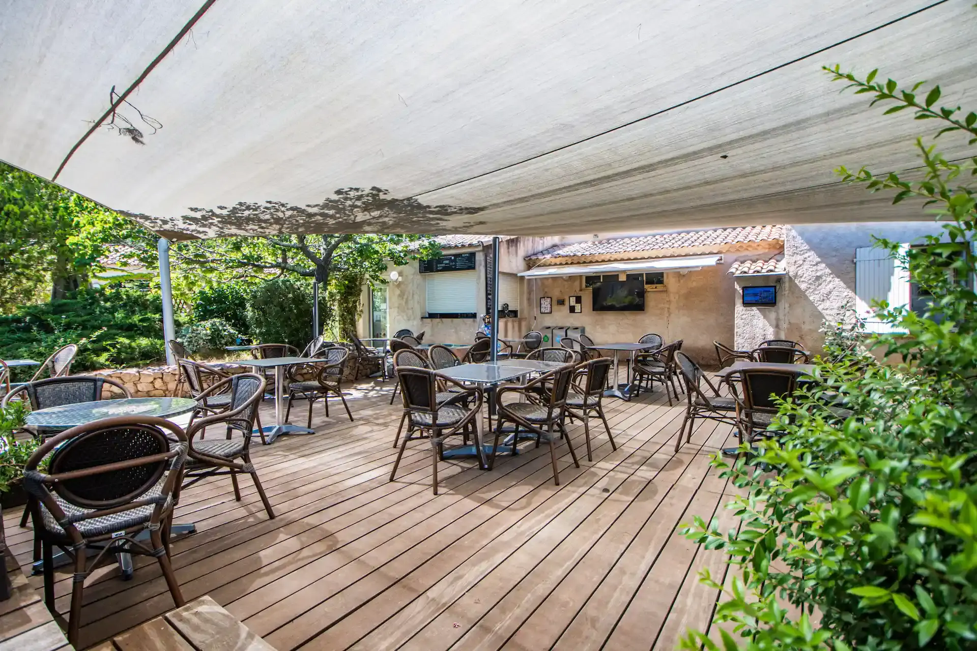 Terrasse de restaurant de camping couverte de vigne vierge avec tables en bois et chaises bistrot.