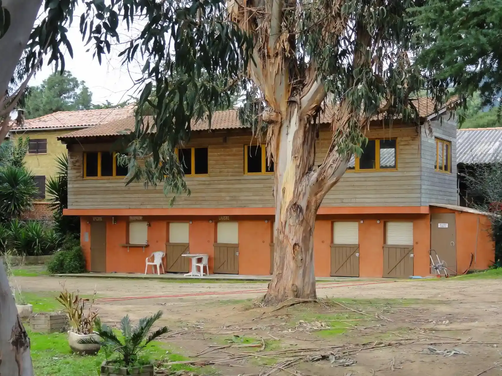 Vue du bâtiment principal du Camping Milella à Propriano, en Corse-du-Sud, abritant la réception et les sanitaires, avec un grand eucalyptus au premier plan.