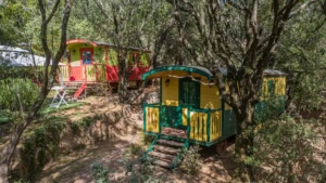 Vue de deux hébergements insolites, des roulottes colorées, nichées au cœur de la végétation méditerranéenne sur une colline arborée du Camping Les Oliviers à Porto. La roulotte rouge et verte sur la gauche dispose d'une petite terrasse et de marches en bois. La roulotte jaune et verte au premier plan est entourée d'arbres. Des murets en pierres sèches structurent les emplacements sur ce terrain en pente.
