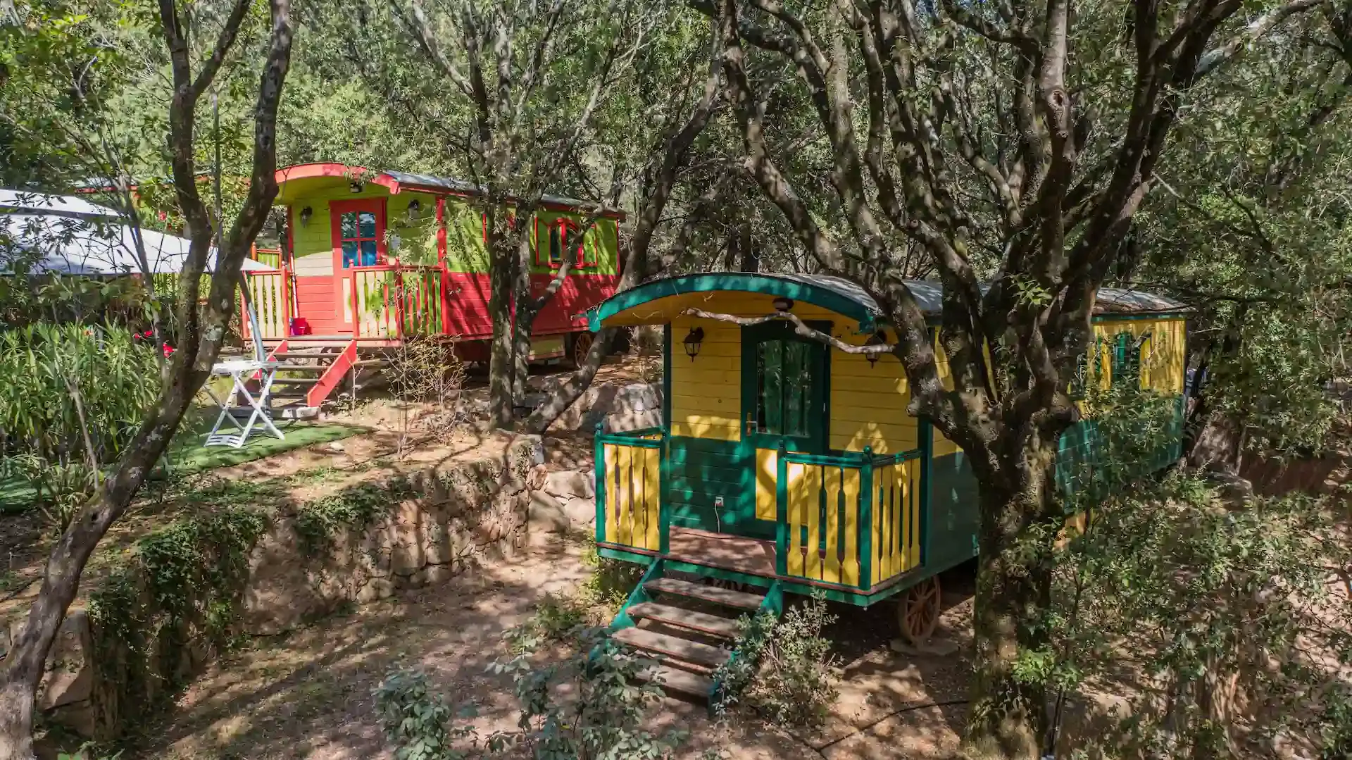 Vue de deux hébergements insolites, des roulottes colorées, nichées au cœur de la végétation méditerranéenne sur une colline arborée du Camping Les Oliviers à Porto. La roulotte rouge et verte sur la gauche dispose d'une petite terrasse et de marches en bois. La roulotte jaune et verte au premier plan est entourée d'arbres. Des murets en pierres sèches structurent les emplacements sur ce terrain en pente.