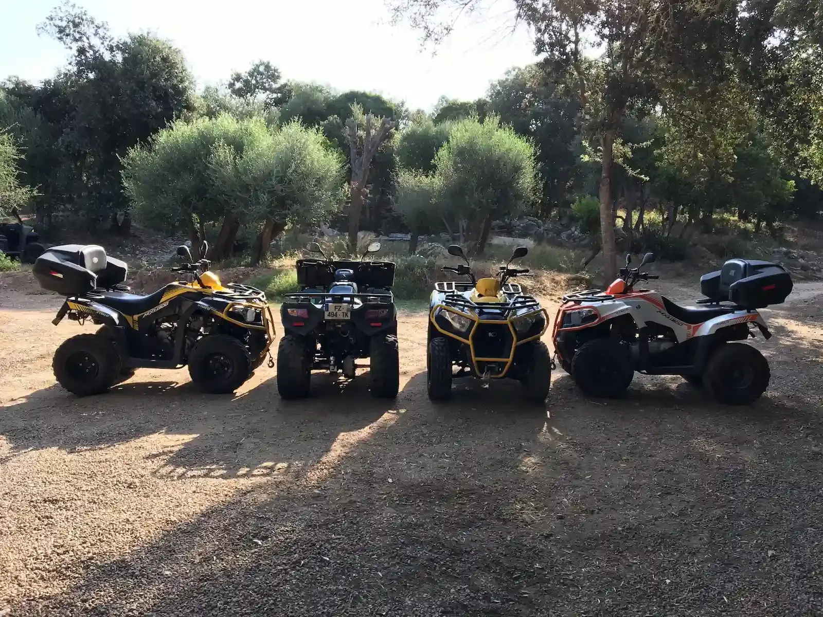 Alignement de quatre quads Kymco jaunes, blancs et noirs avec coffres de rangement dans une zone ombragée sous les oliviers.