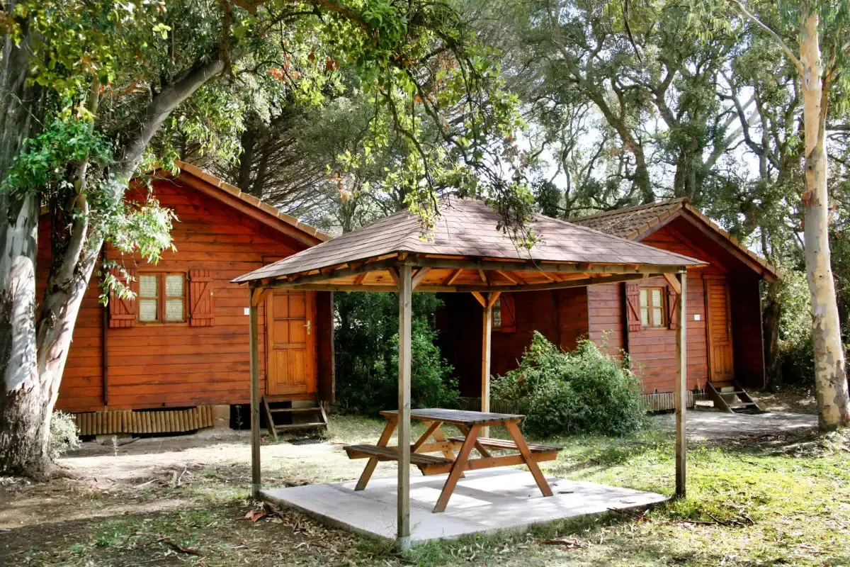 Deux chalets en bois au Camping U Stabiacciu nichés sous des eucalyptus et des chênes, avec une tonnelle en bois abritant une table de pique-nique devant eux.