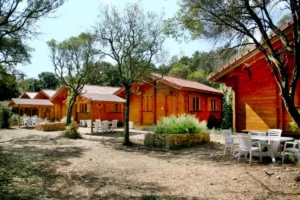 Une rangée de chalets en bois identiques avec toits en tuiles, séparés par de jeunes arbres et des arbustes en pot au Camping U Stabiacciu. Des tables et chaises blanches sont disposées devant certains chalets.