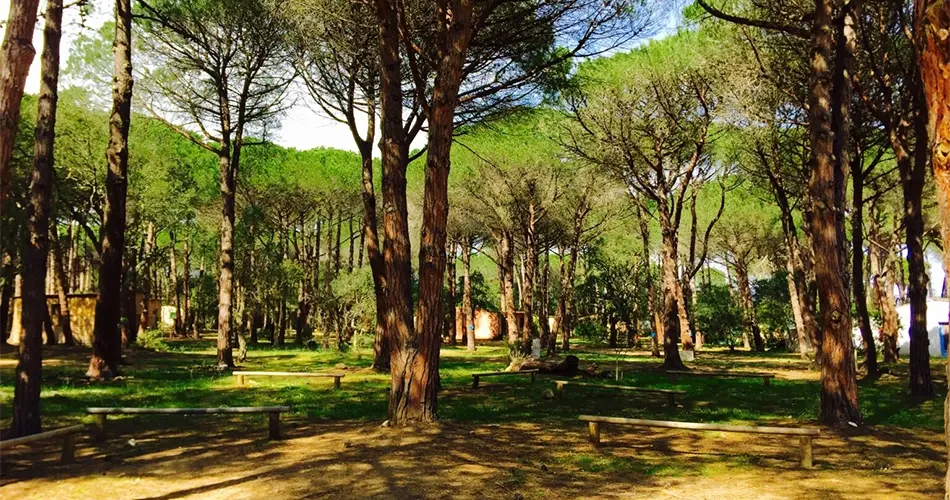 loisirs-camping-villata Camping Villata sous les arbres au Sud de la Corse à Porto-Vecchio