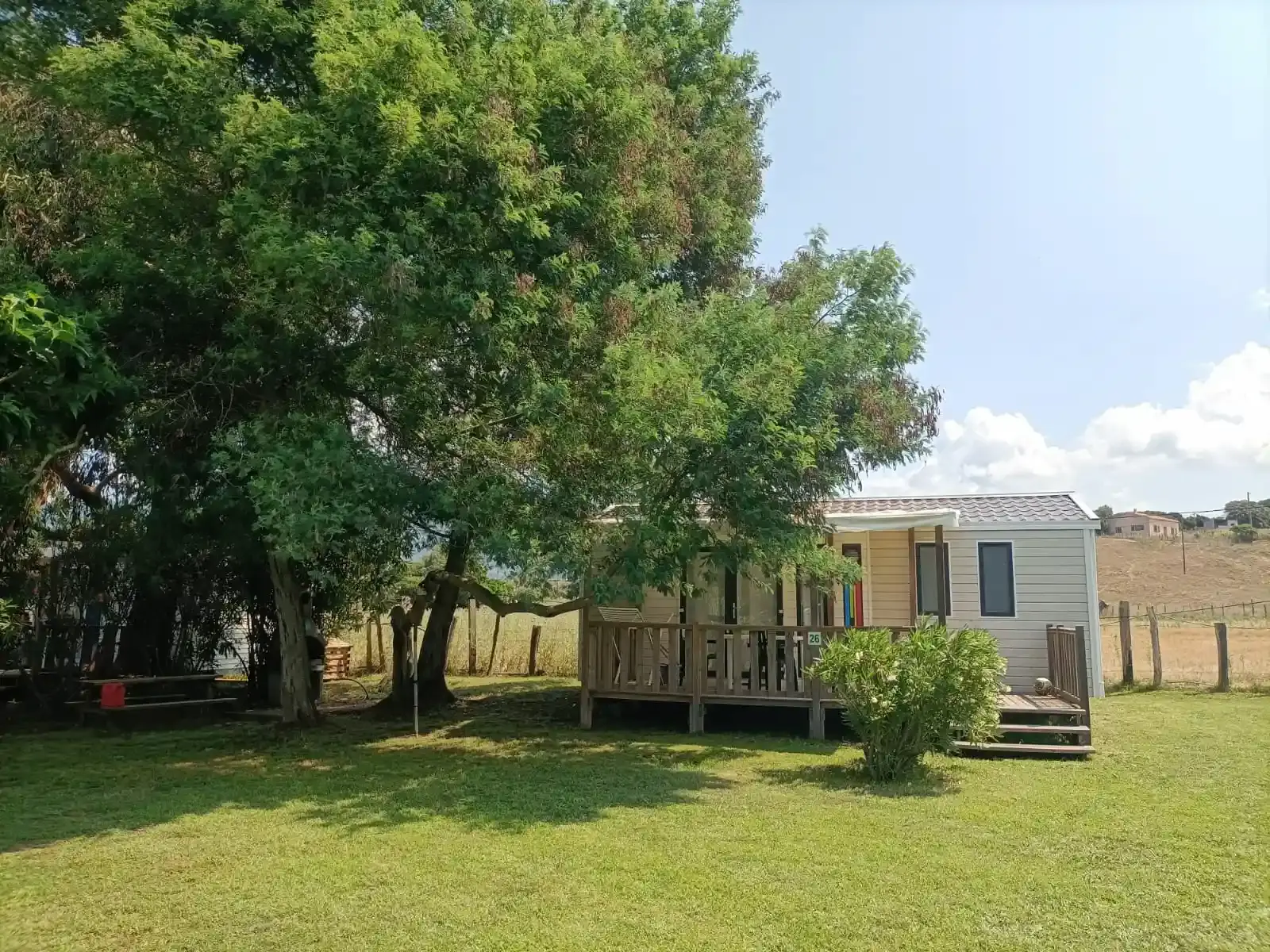 Mobil-home moderne avec terrasse en bois ombragée par de grands arbres au Camping Milella à Propriano, vue sur la campagne corse.
