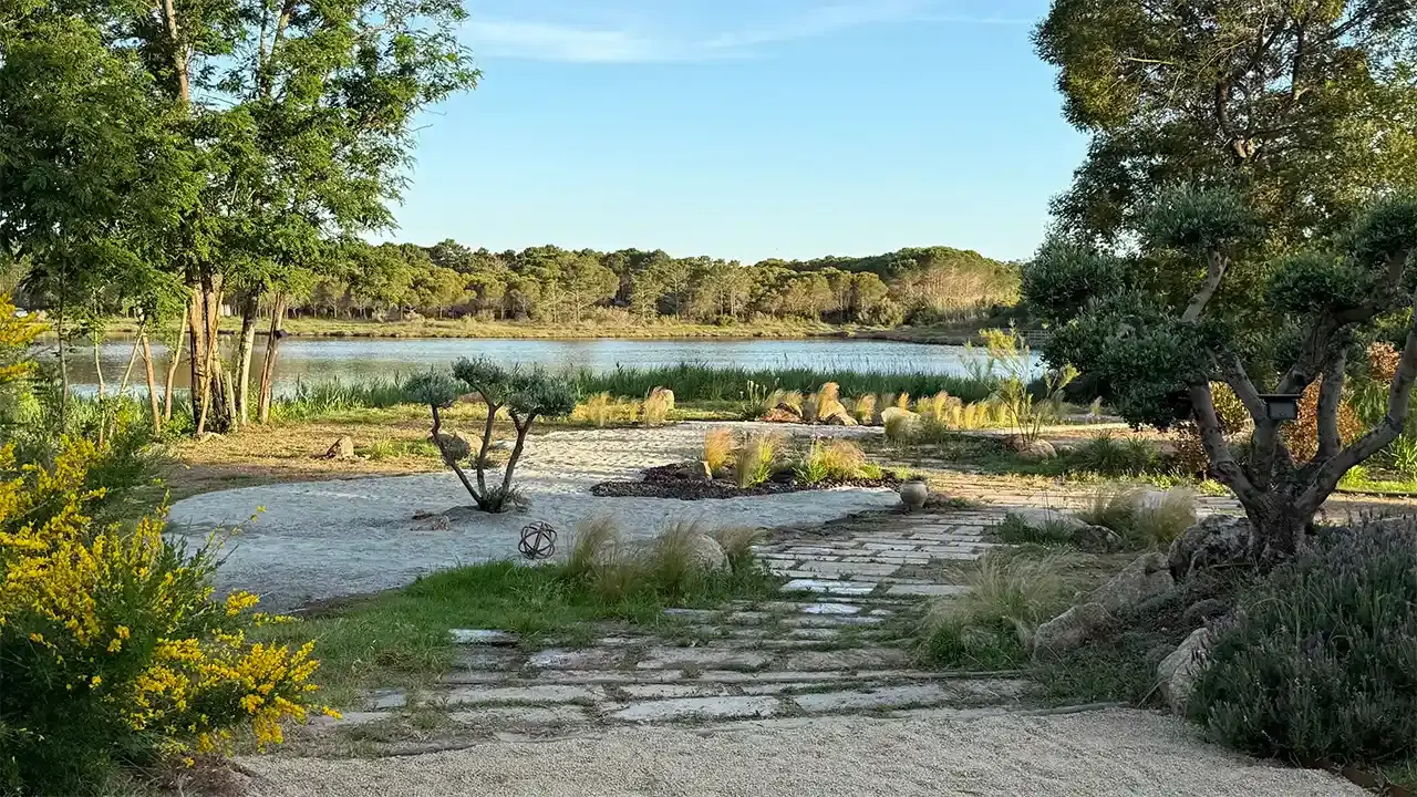 Jardin Zen paysager au Camping U Pinarellu avec oliviers, herbes de la pampa et chemin en pierres, offrant une vue paisible sur un étang et une forêt de pins.