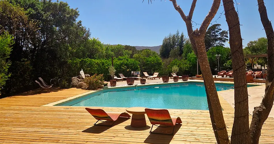 Grande piscine rectangulaire au Camping U Pinarellu avec une terrasse en bois, des transats colorés et des parasols, entourée d'une végétation dense sous le soleil.