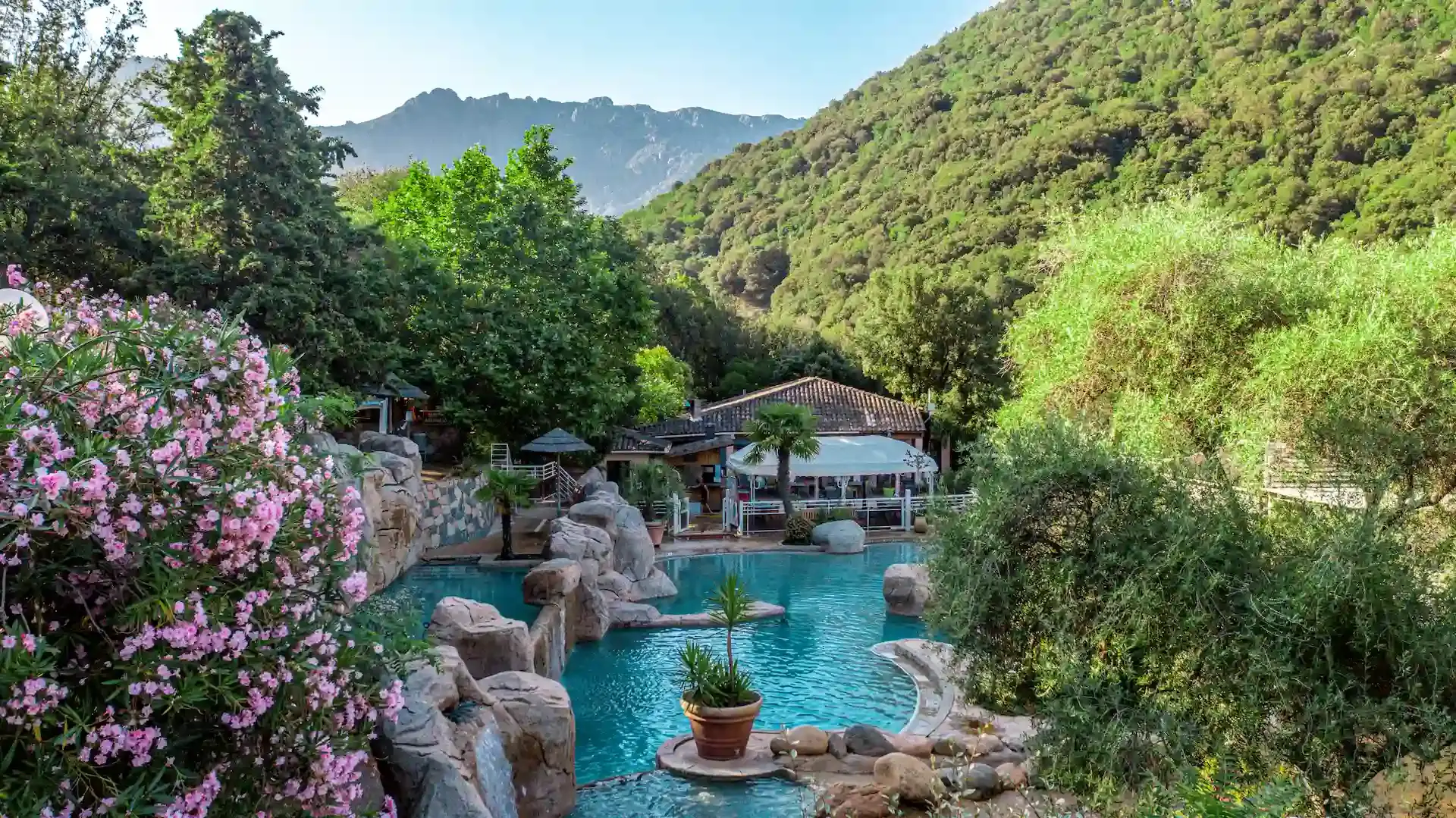 Vue imprenable sur le golfe de Porto et les célèbres Calanche de Piana depuis le Camping Les Oliviers en Corse-du-Sud. En arrière-plan, les falaises de porphyre rouge se jettent dans la mer Méditerranée bleu turquoise. Au premier plan, des fleurs de laurier-rose encadrent la vue sur la piscine lagon du camping et ses cascades. Les montagnes couvertes de maquis entourent le site.