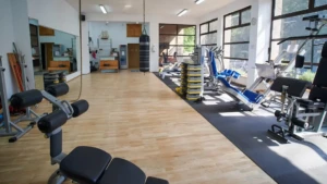 L'intérieur d'une salle de sport lumineuse et spacieuse au Camping Les Oliviers à Porto, Corse-du-Sud. La salle est équipée de machines de musculation modernes (presse à cuisse, banc de développé couché, station multifonctions), d'un grand miroir, d'un sac de frappe suspendu et d'un sol en bois. De larges baies vitrées offrent une vue sur la végétation environnante et le parking du camping.