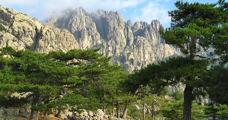 Aiguilles de Bavella en Corse du Sud proche du Camping U Pirellu