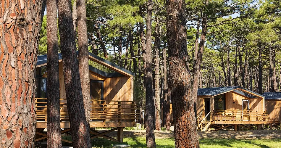 Chalets dans la pinède en bord de mer Camping 4 étoiles