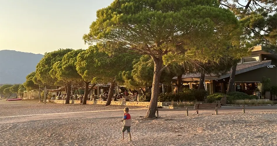 Plage du Camping Golfo di Sogno à Porto-Vecchio