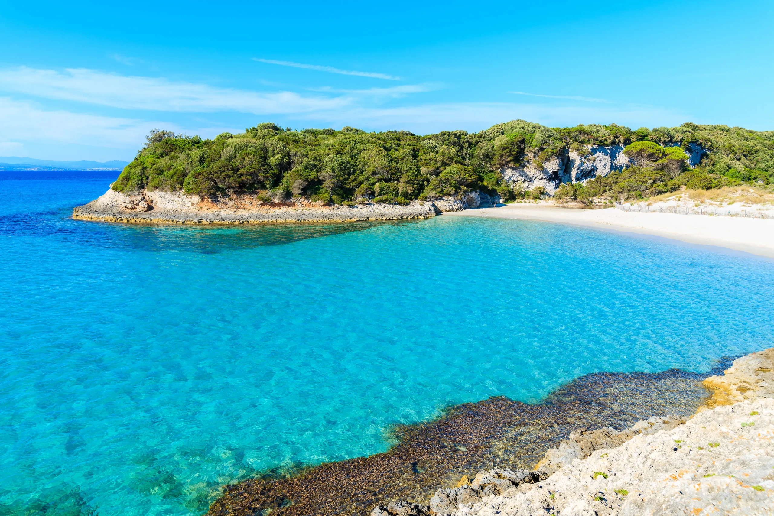 Vue panoramique de la plage du Grand Sperone à Bonifacio avec ses eaux turquoise transparentes et sa pointe rocheuse recouverte de maquis verdoyant sous un ciel bleu azur.