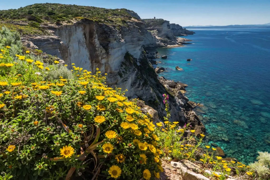 Hiking in Corsica: The Most Beautiful Trails